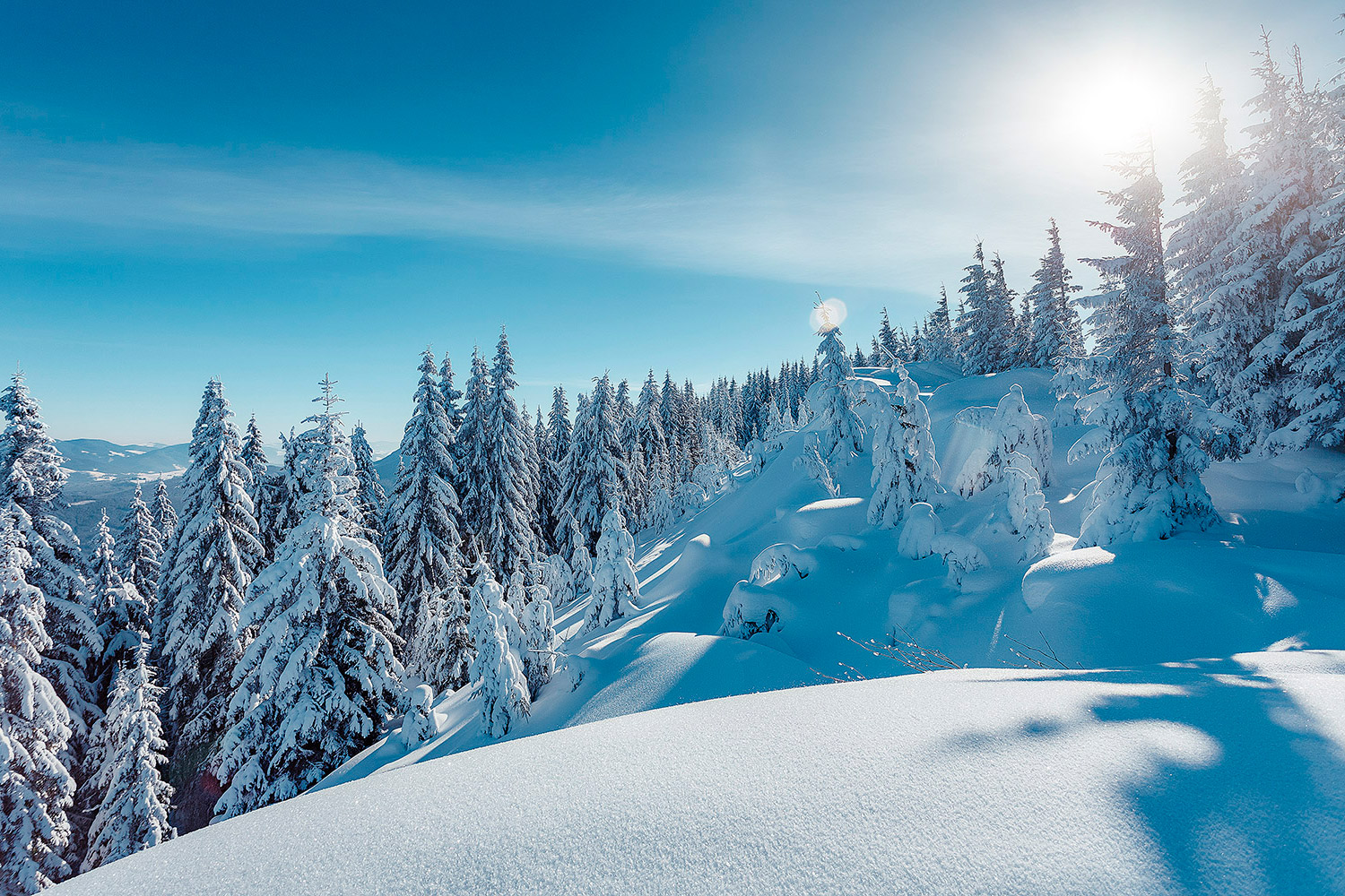 Paradies zum Freeriden