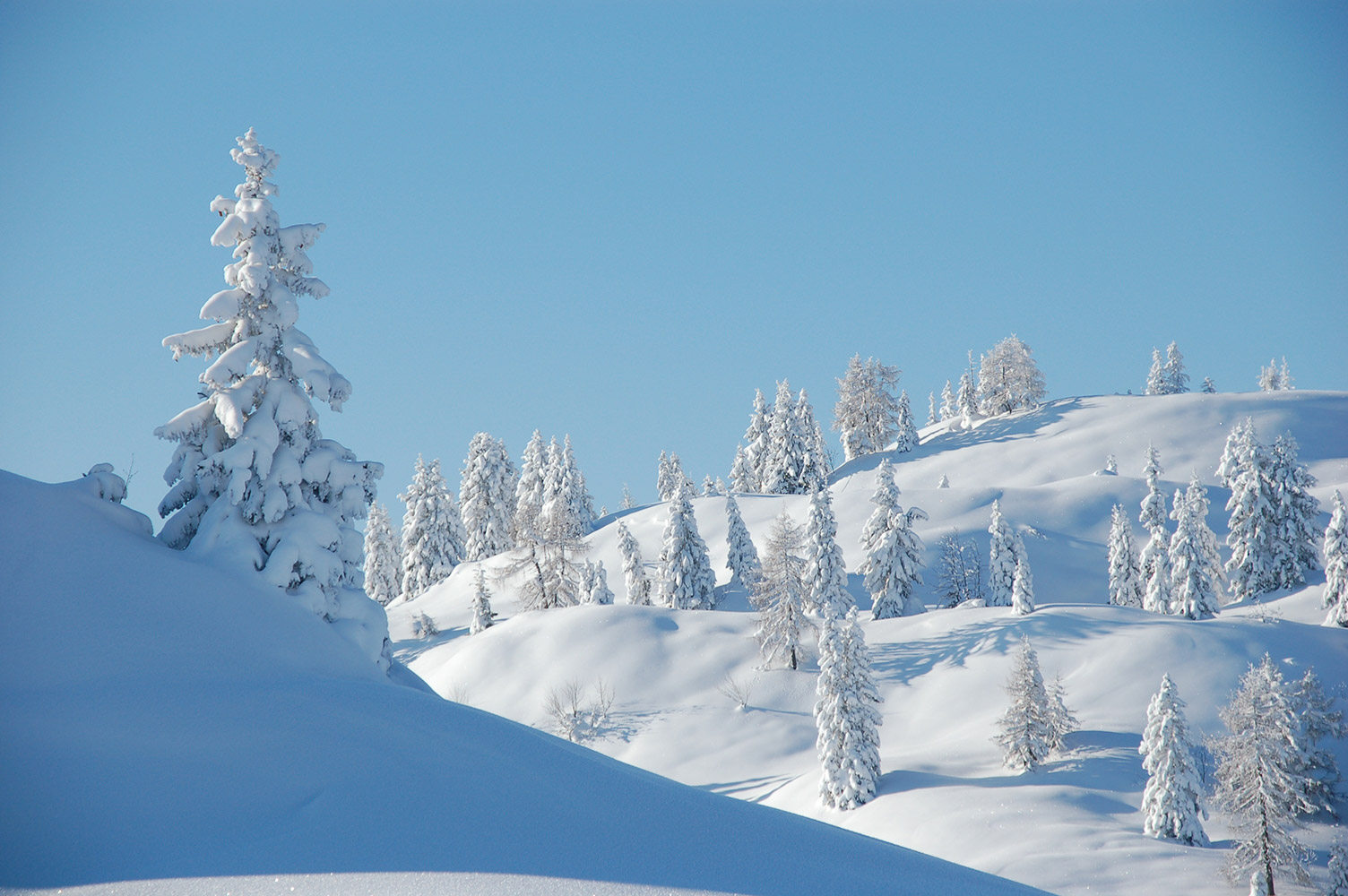 Schweizer Skiparadies