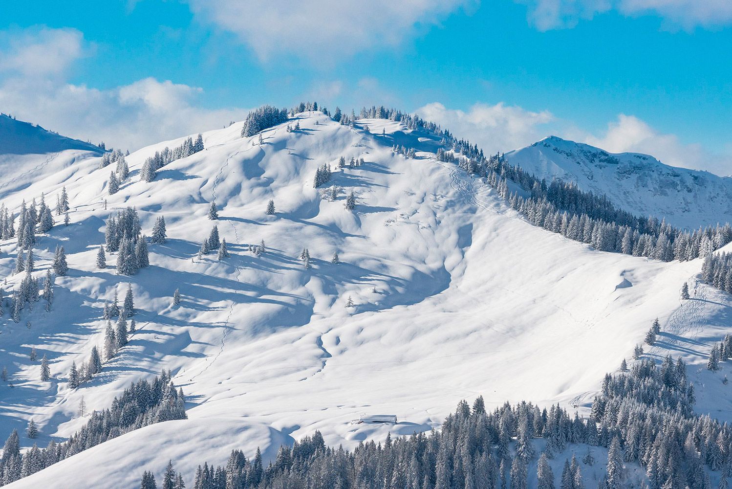 schneesicheres-skigebiet.jpg